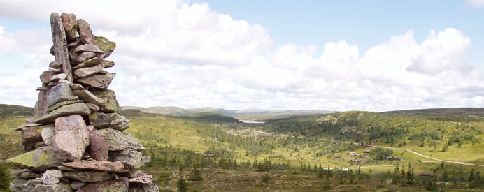 Bittermarka